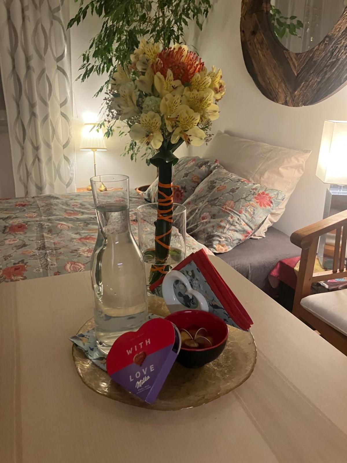 Apartament Pripotocni