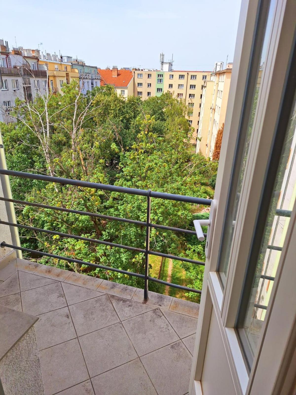 Apartament Pripotocni
